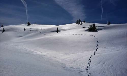 snow snow field landscape