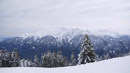 mountain snowy forest and mountains under cloudy sky during daytime snow