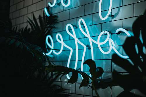 light Coffee neon signage turned on near plant beverly hills