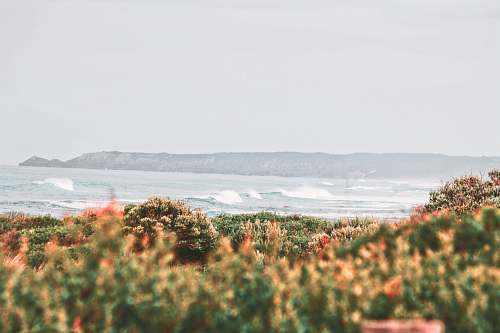 sea body wave of water coast