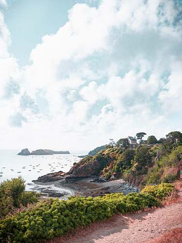 nature green plants across body of water during cloudy daytime promontory