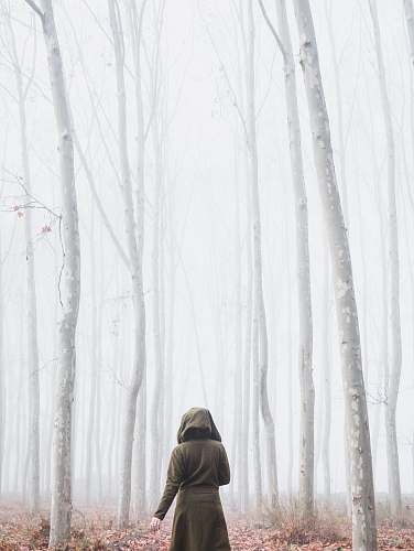 apparel woman near trees clothing