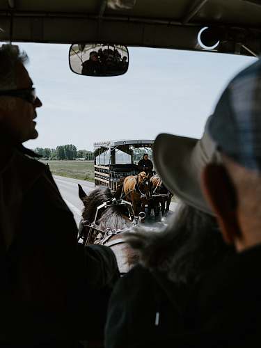 human man riding horse with carriage horse