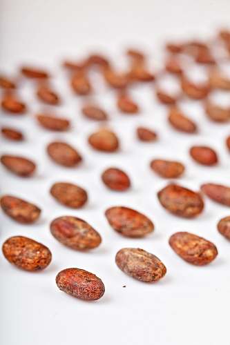 food brown seeds on table vegetable