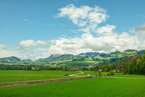 nature green field at daytime grass