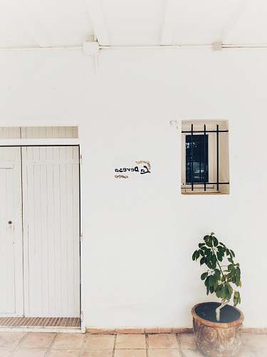 door green indoor potted plants near white wooden doors bonsai
