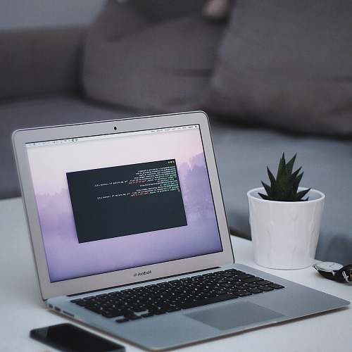 computer MacBook Air beside green leadf laptop