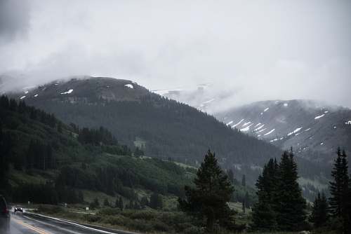 tree mountains covered with green leafed trees abies