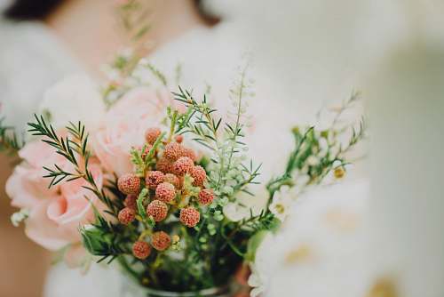 flower pink floewr wedding