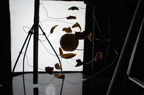 food silhouette of tripod leaf