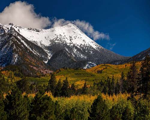tree snow capped mountain near green field during dayhtime abies