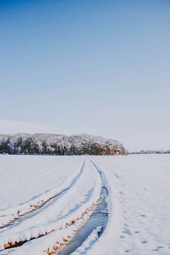 outdoors snow covered walkway near forest abies
