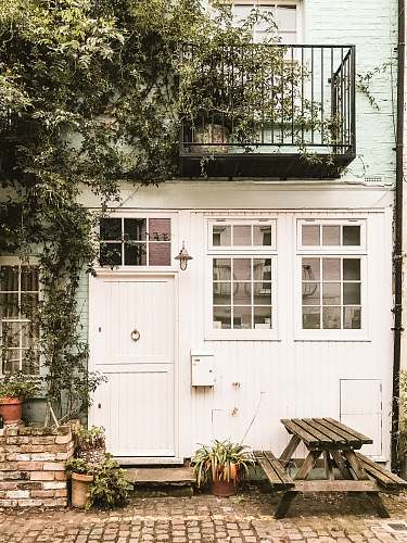 ivy white and brown wooden house beside picnic table with green leaf plants flora