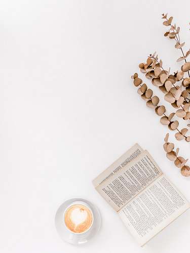 reading white ceramic mug beside white book white