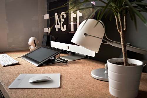 computer white desk lamp near green potted plant on table desk