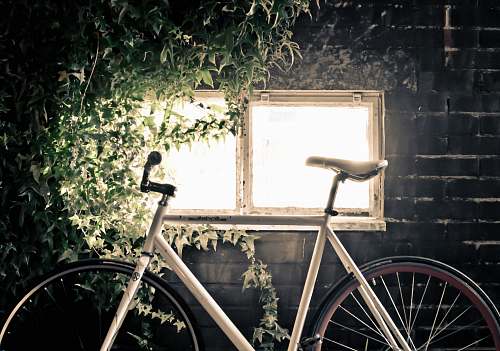 ivy white fixed-gear bicycle inside black room bicycle