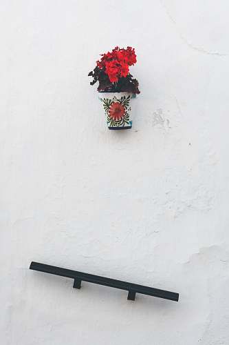 spain black shelf under red flowers in vase frigiliana