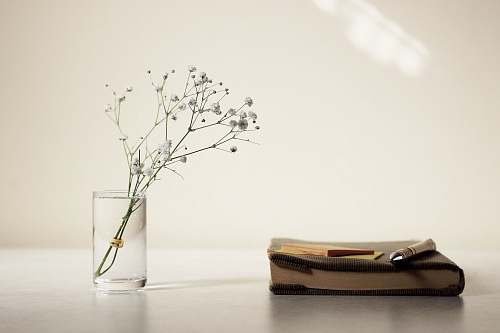 vase white petaled flower in glass vase beside book jar