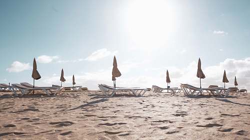 nature loungers on sand during daytime outdoors