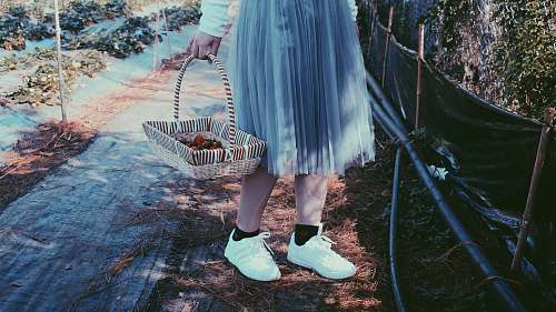 animal person standing near plant holding basket reptile