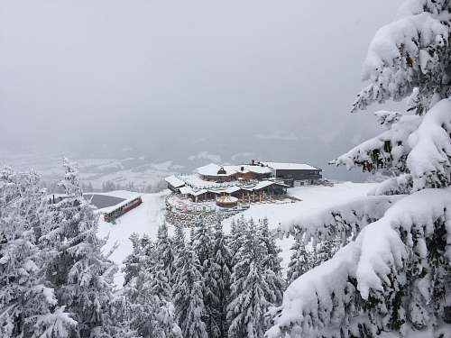 mountain aerial photography of house surrounded by trees during winter tree