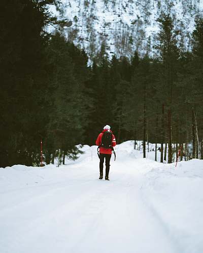 norway person walking on snow ground trees