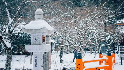outdoors photo of man walking beside tree trunk koyasan