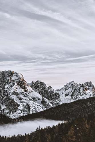 grey photo of mountain near pine trees mountain