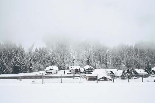 austria snow covered houses near trees winter
