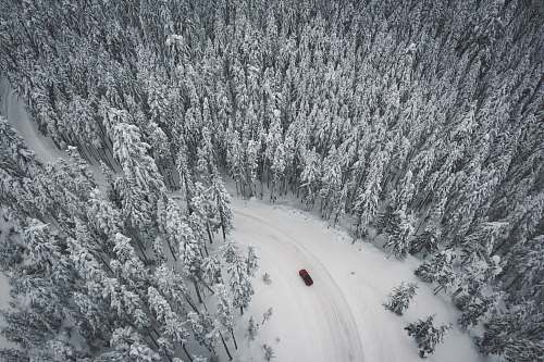 grey vehicle speeding on road covered in snow surrounded by trees at daytime forest