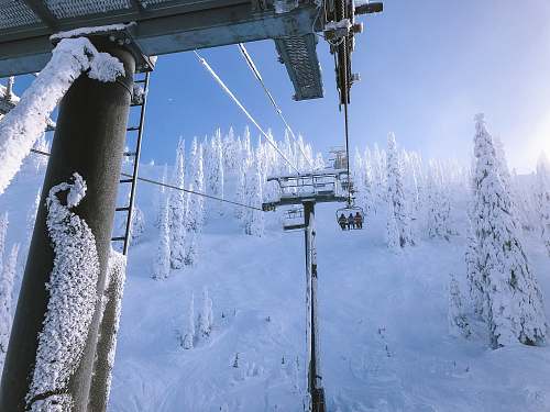 blue white and black cable transportation with three person riding near trees covered of snow at daytime ski resort