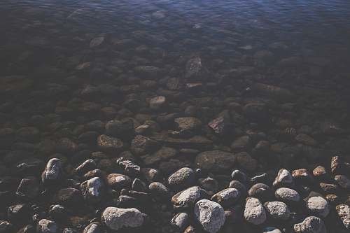 lake gray pebbles near river during daytime vegetable