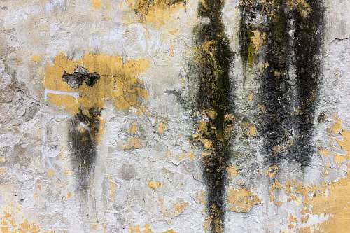 wall closeup photo of yellow and black concrete wall grunge