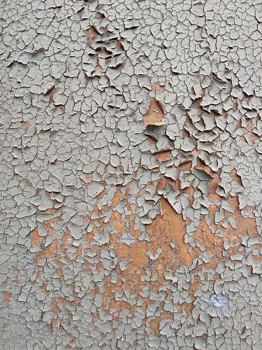 tolmachyovo cracked gray wall paint russia