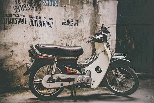 motorcycle white and black underbone motorcycle parked near the wall vehicle