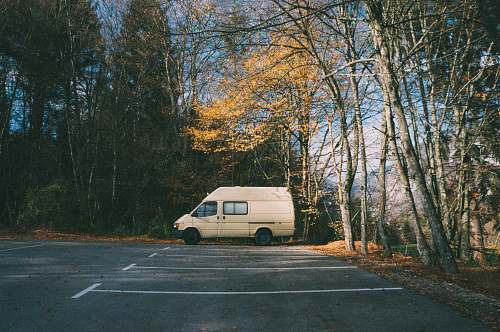 van white minivan parked near trees at daytime vehicle