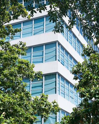building corner side of high-rise building between trees city
