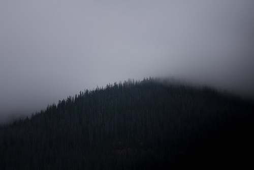 fog fog covered mountain grey