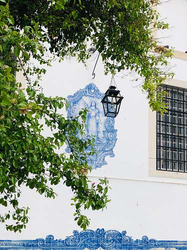 plant mural painting r. norberto de araújo 18a