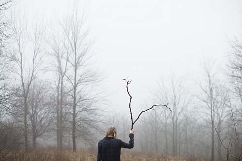 fog person holding driftwood forest
