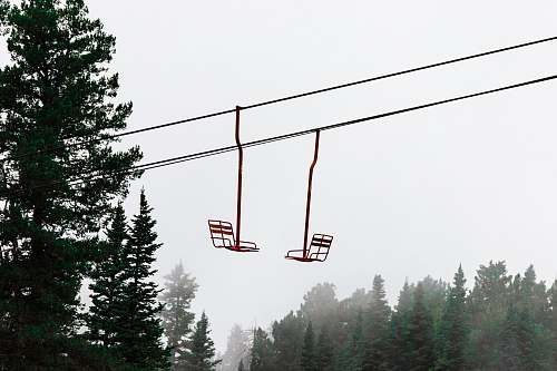 plant two cable chairs fir