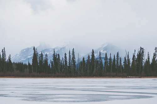 lake frozen lake near tall green trees canada