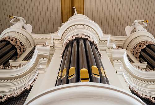 netherlands low angle photography of bamboo organ dorpskerk