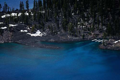 lake black sand beach with green trees near at body of water forest