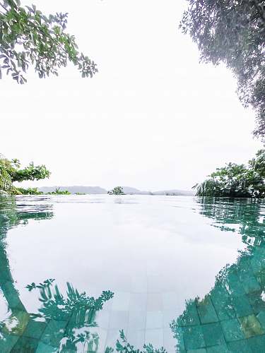nature body of water near trees during daytime outdoors