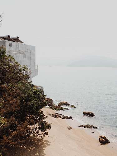 nature white building near body of water hong kong