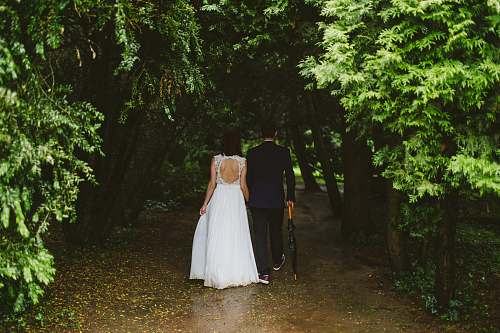 forest couple walking under green trees umbrella