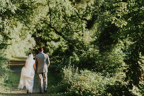 bride groom and bride walking on forest pathway photograph suit