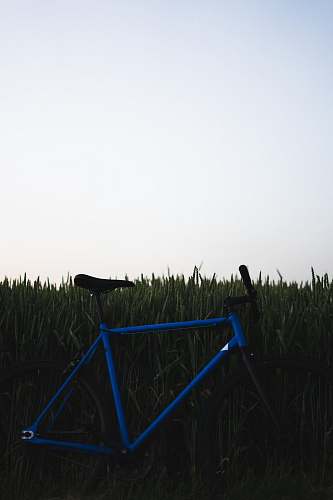 machine blue bicycle on grass field bike