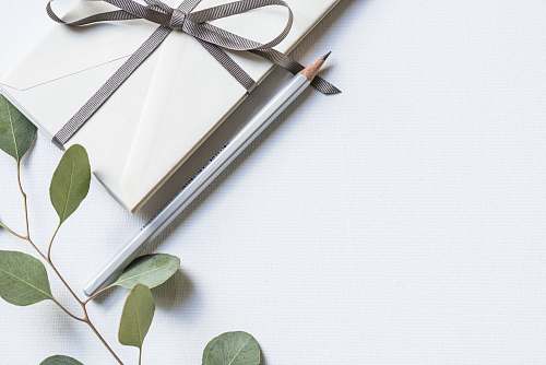 pencil flat lay photo of book and pencil green